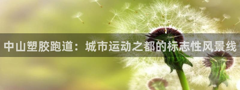 红足体育网