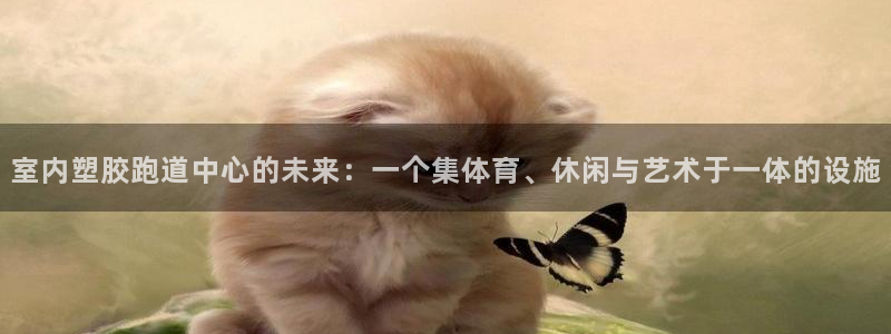 红足1世手机版下载：室内塑胶跑道中心的未来：一个集体育、休闲与艺术于一体的设施