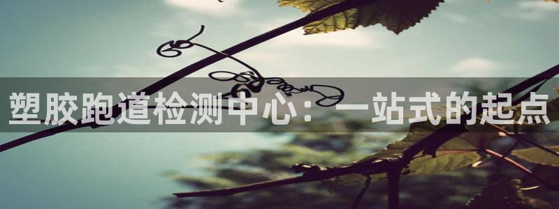 红足一1世即时比分：塑胶跑道检测中心：一站式的起点