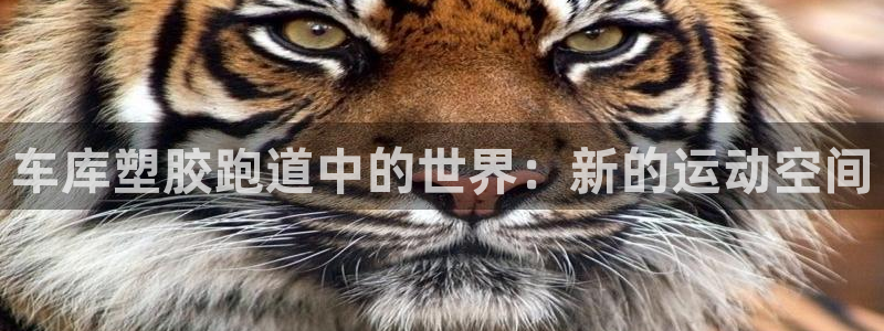 红足一1世手机版新皇冠：车库塑胶跑道中的世界：新的运动空间