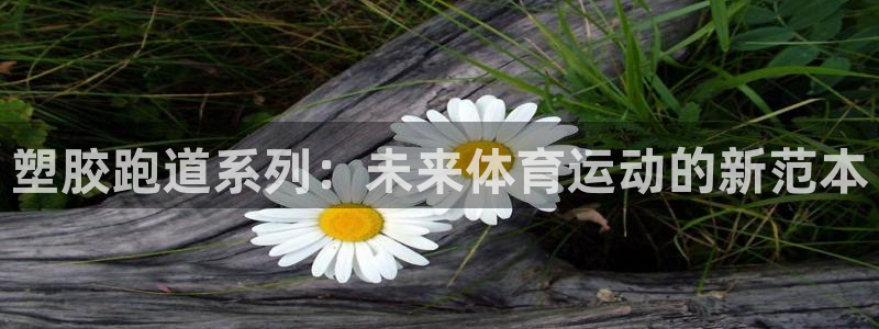 红足一1世66814：塑胶跑道系列：未来体育运动的新范本