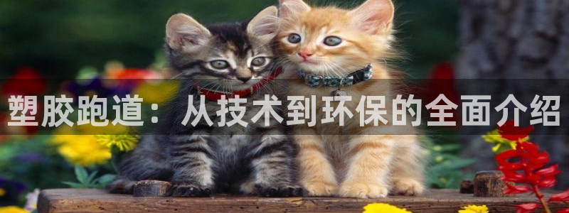 777814红·足一世：塑胶跑道：从技术到环保的全面介绍
