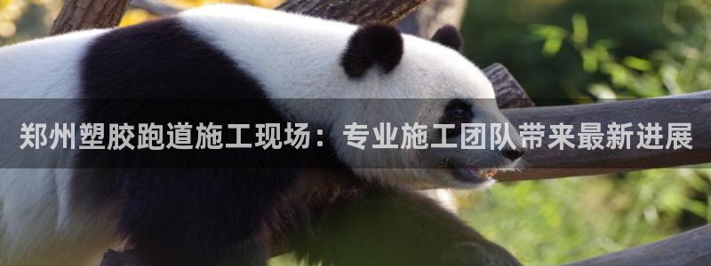 红足一1世666814最新结果：郑州塑胶跑道施工现场：专业施工团队带来最新进展