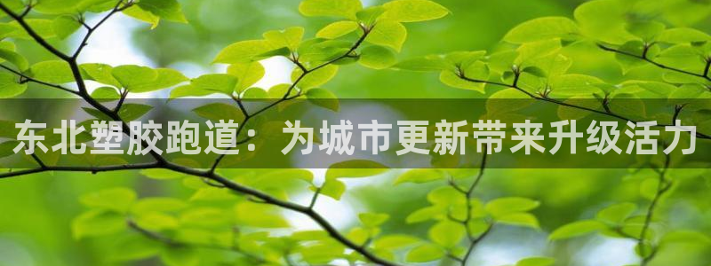 红足一生世：东北塑胶跑道：为城市更新带来升级活力