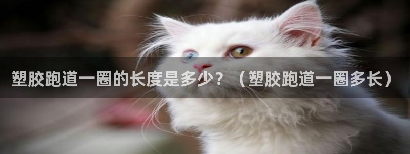 红足一一世足球网开奖记录：塑胶跑道一圈的长度是多少？（塑胶跑道一圈多长）